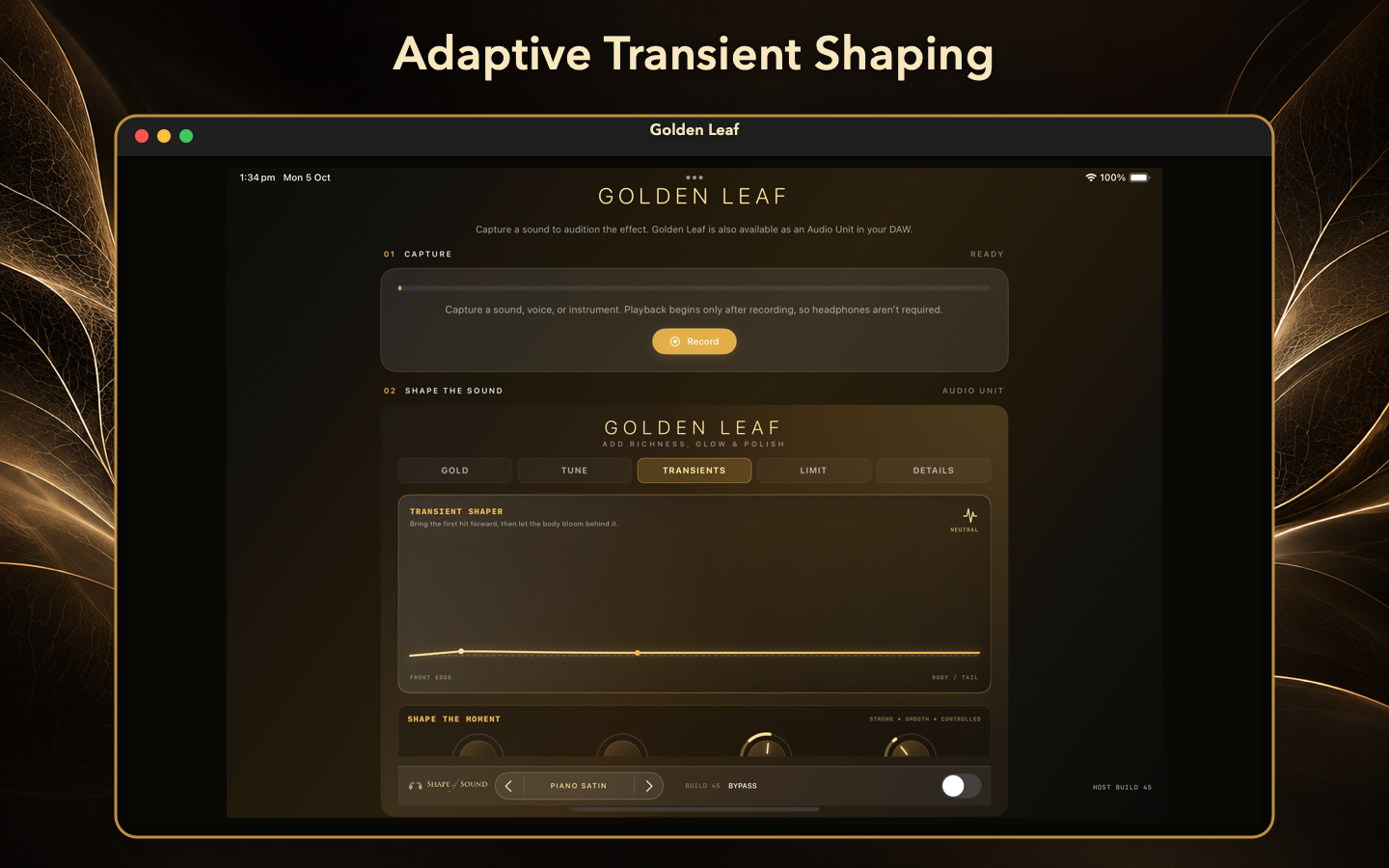 Golden Leaf transient polish interface